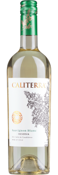 Sauvignon Blanc Reserva - Viña Caliterra - Weißwein