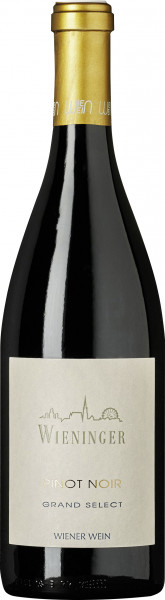 Pinot Noir Grand Select - Weingut Wieninger - Rotwein