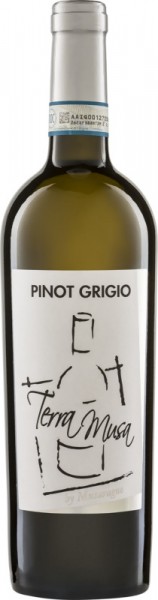 Pinot Grigio Venezia Terra Musa di Moreno Musaragno 2023